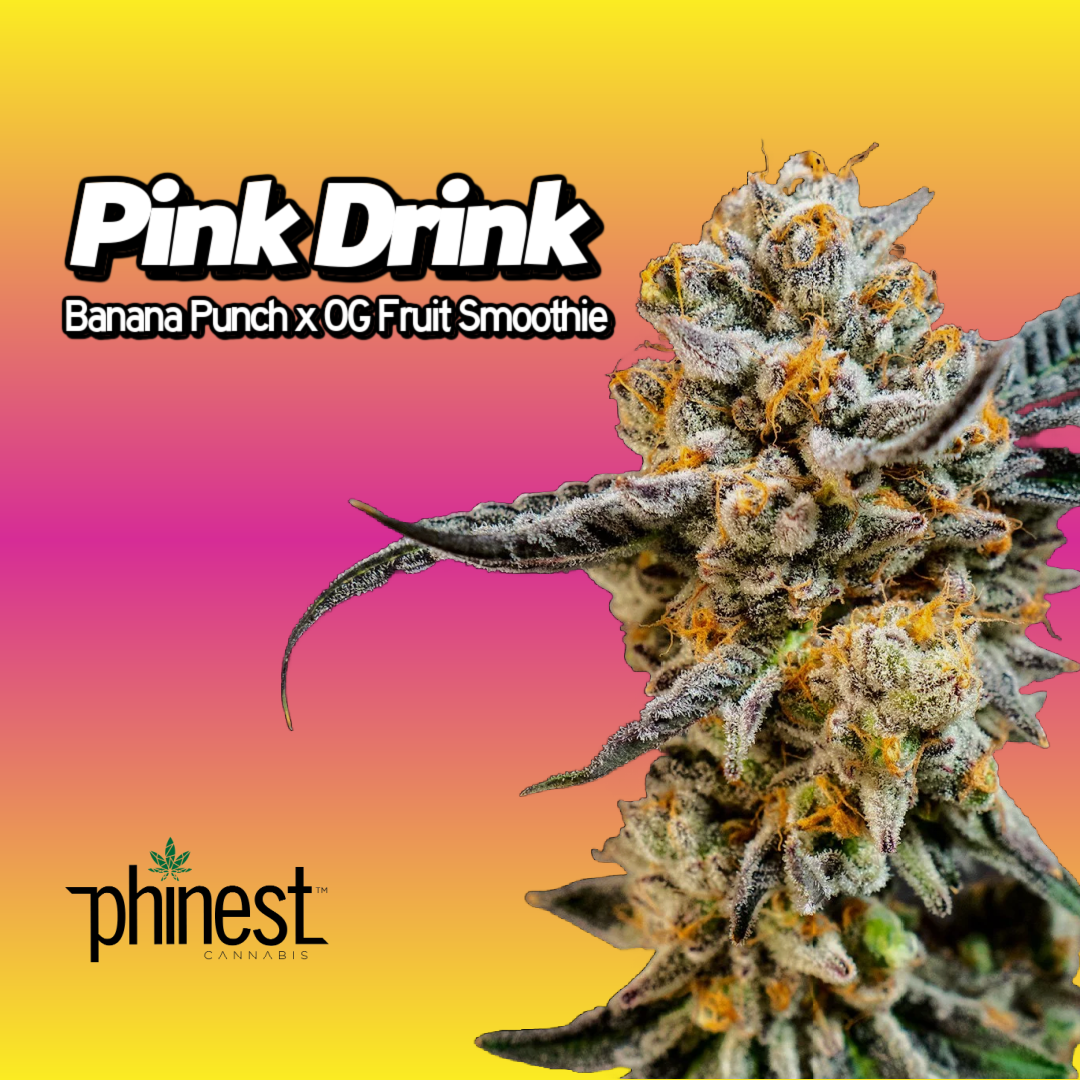 Pink Drink Cannabis Clones Hero Image