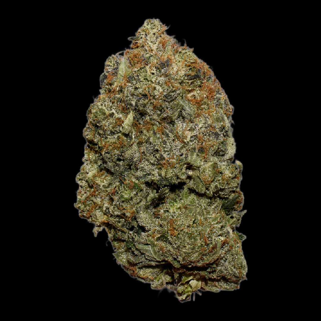 GMO Clone Bud