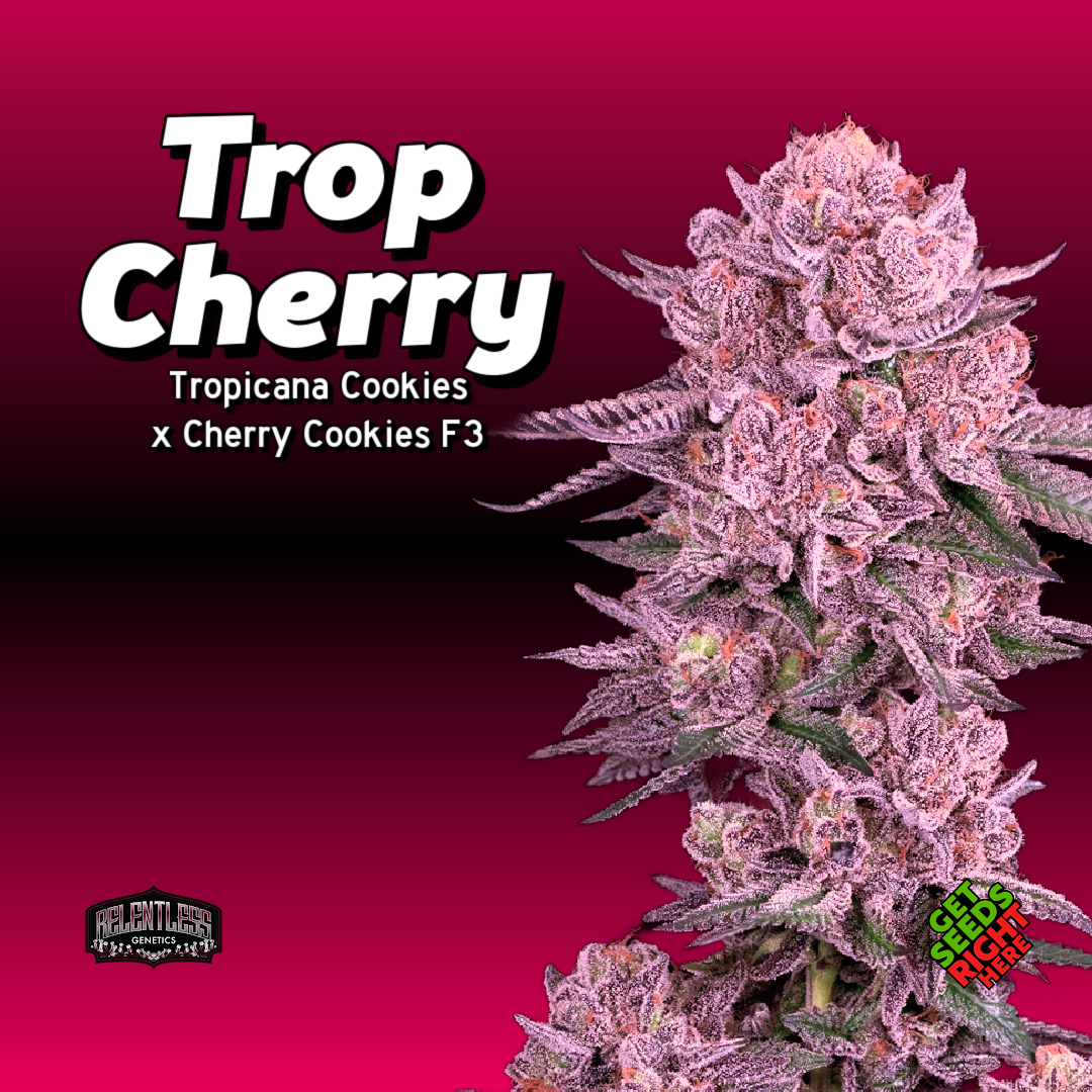 Trop Cherry