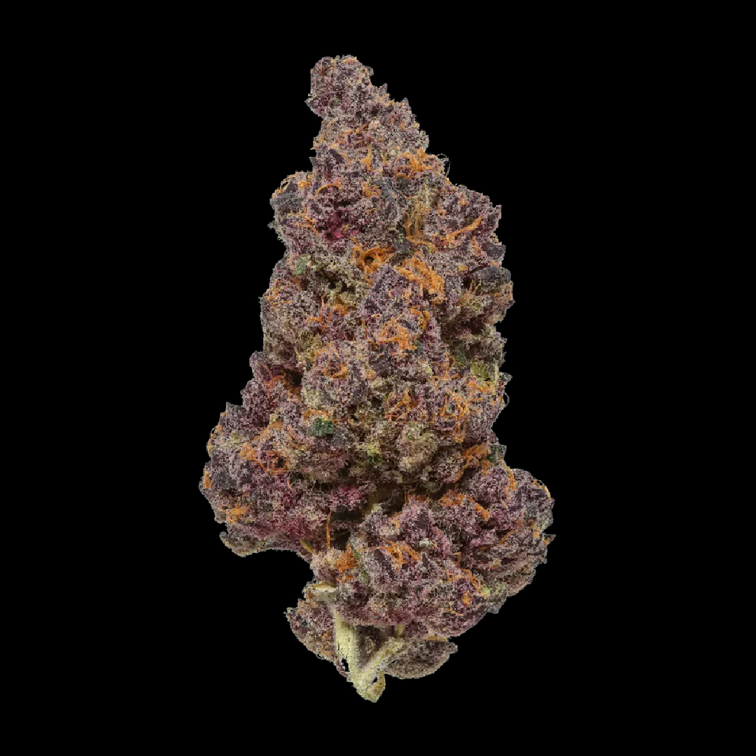 Trop Cherry Bud