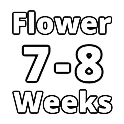 Flower Time