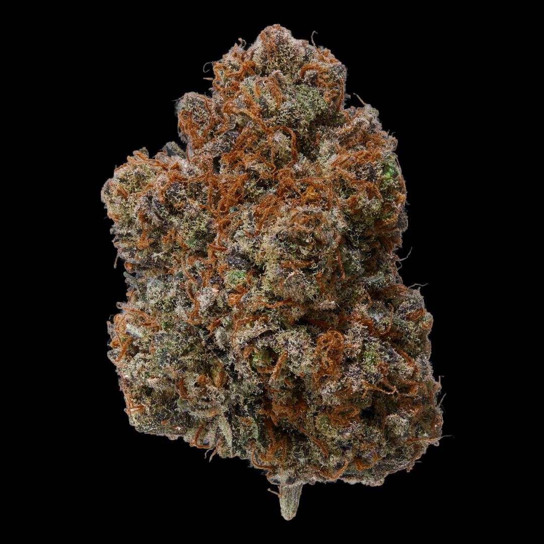 Wedding Cake Bud