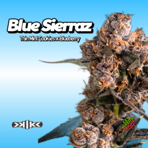 Blue Sierraz Cannabis Clones
