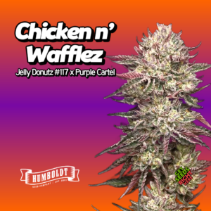 Chicken n’ Wafflez Cannabis Clones