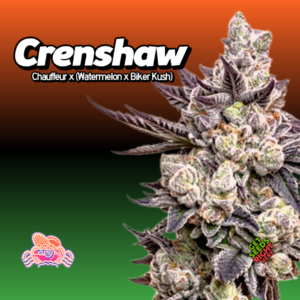Crenshaw Cannabis Clones