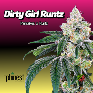 Dirty Girl Runtz Cannabis Clones