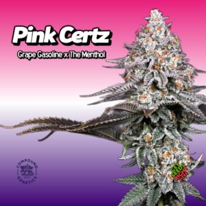 Pink Certz Cannabis Clones