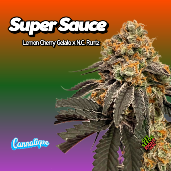 Super Sauce Cannabis Clones