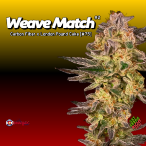 Weave Match 2 Cannabis Clones