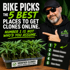 Bike picks the 5 best places to get clones online. Number 1 is not who'd you assume.