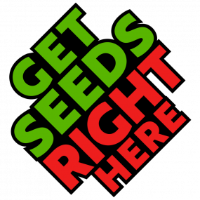 getseedsrighthere-cannabis-genetics (3)
